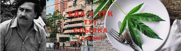 скорость Алзамай